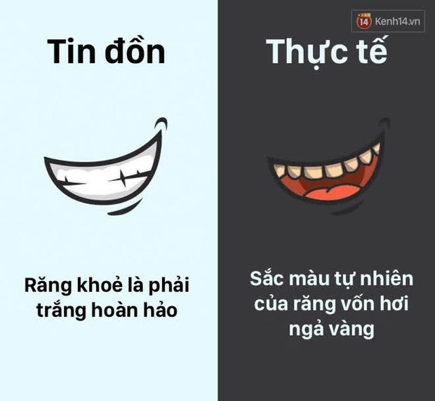 12 lầm tưởng về cơ thể ch&uacute;ng ta m&agrave; rất nhiều người hiểu sai, nay đ&atilde; được khoa học b&oacute;c trần - Ảnh 9.