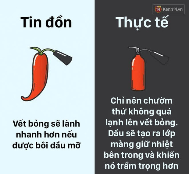 12 lầm tưởng về cơ thể ch&uacute;ng ta m&agrave; rất nhiều người hiểu sai, nay đ&atilde; được khoa học b&oacute;c trần - Ảnh 10.
