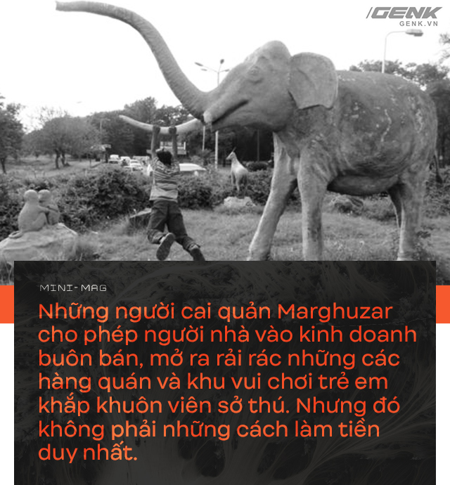 Nhờ sức mạnh của tiếng hát, con voi cô độc nhất hành tinh tìm thấy tự do cho mình sau nhiều thập kỷ sống trong xiềng xích - Ảnh 5. Nhờ sức mạnh của tiếng hát, con voi cô độc nhất hành tinh tìm thấy tự do cho mình sau nhiều thập kỷ sống trong xiềng xích - Ảnh 5.