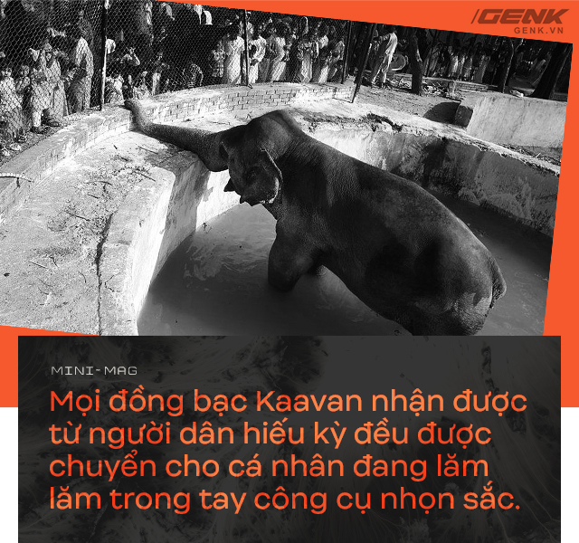 Nhờ sức mạnh của tiếng hát, con voi cô độc nhất hành tinh tìm thấy tự do cho mình sau nhiều thập kỷ sống trong xiềng xích - Ảnh 7. Nhờ sức mạnh của tiếng hát, con voi cô độc nhất hành tinh tìm thấy tự do cho mình sau nhiều thập kỷ sống trong xiềng xích - Ảnh 7.