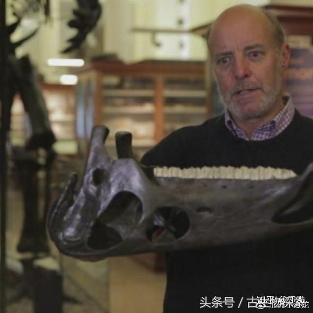 Khủng long ăn cỏ có ăn cỏ thật không? - Ảnh 2. Khủng long ăn cỏ có ăn cỏ thật không? - Ảnh 2.