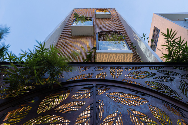 Nhà tổ chim với thiết kế phá vỡ mọi quy tắc: Không có tường ngăn, nhìn đâu cũng thấy cây xanh với khoảnh trống - Ảnh 2. Nhà tổ chim với thiết kế phá vỡ mọi quy tắc: Không có tường ngăn, nhìn đâu cũng thấy cây xanh với khoảnh trống - Ảnh 2.