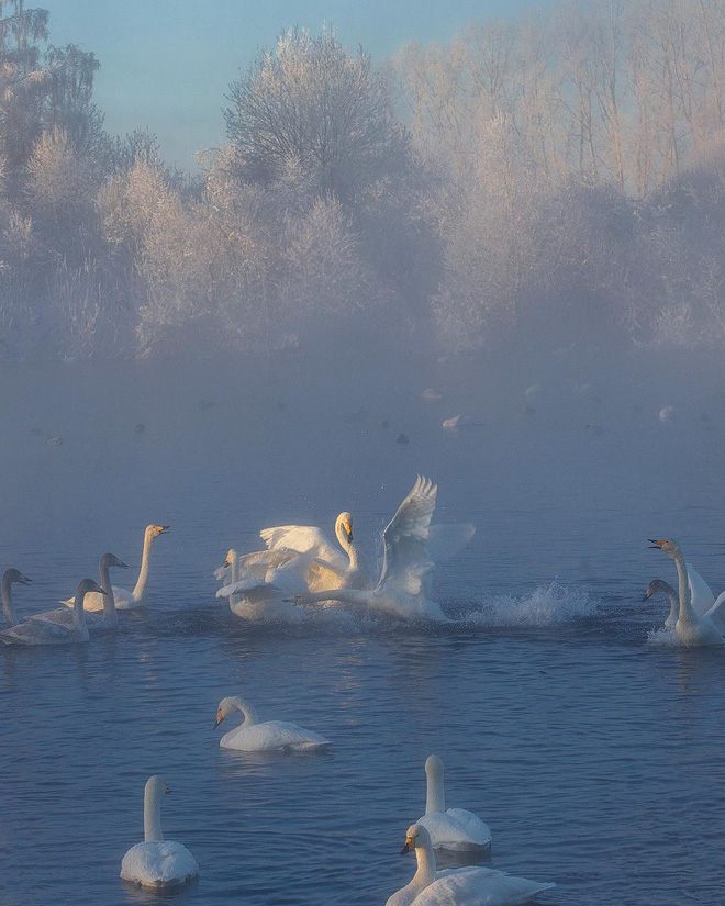Loạt h&igrave;nh ảnh trong m&ugrave;a đ&ocirc;ng khắc nghiệt, băng tuyết trắng xo&aacute; ở nước Nga chỉ nh&igrave;n th&ocirc;i cũng đủ thấy r&eacute;t run cầm cập - Ảnh 17.