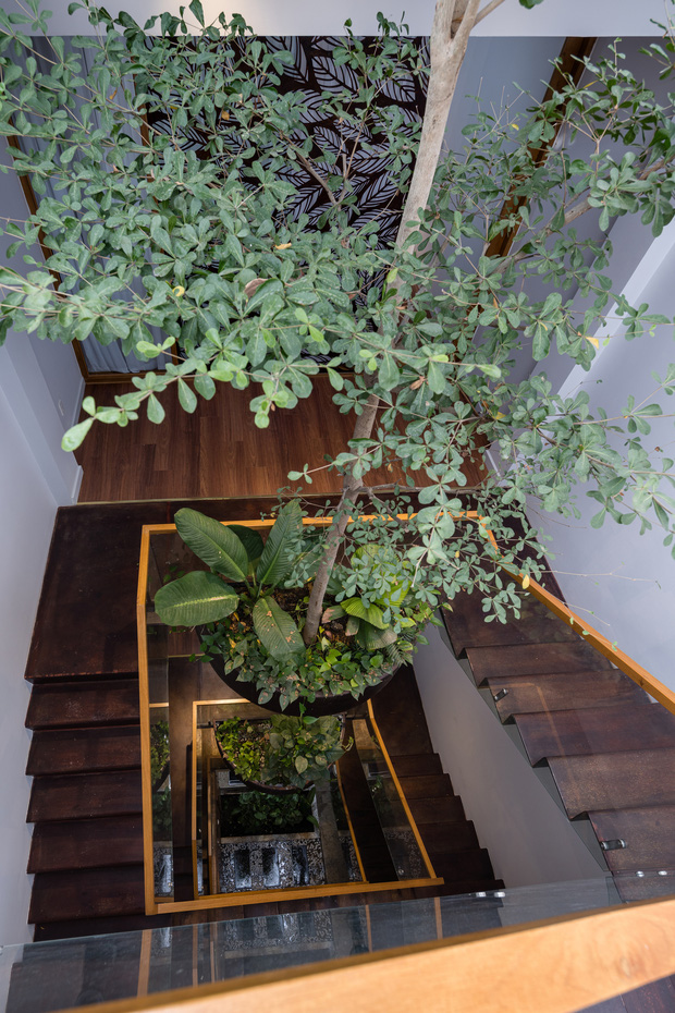 Nhà tổ chim với thiết kế phá vỡ mọi quy tắc: Không có tường ngăn, nhìn đâu cũng thấy cây xanh với khoảnh trống - Ảnh 7. Nhà tổ chim với thiết kế phá vỡ mọi quy tắc: Không có tường ngăn, nhìn đâu cũng thấy cây xanh với khoảnh trống - Ảnh 7.