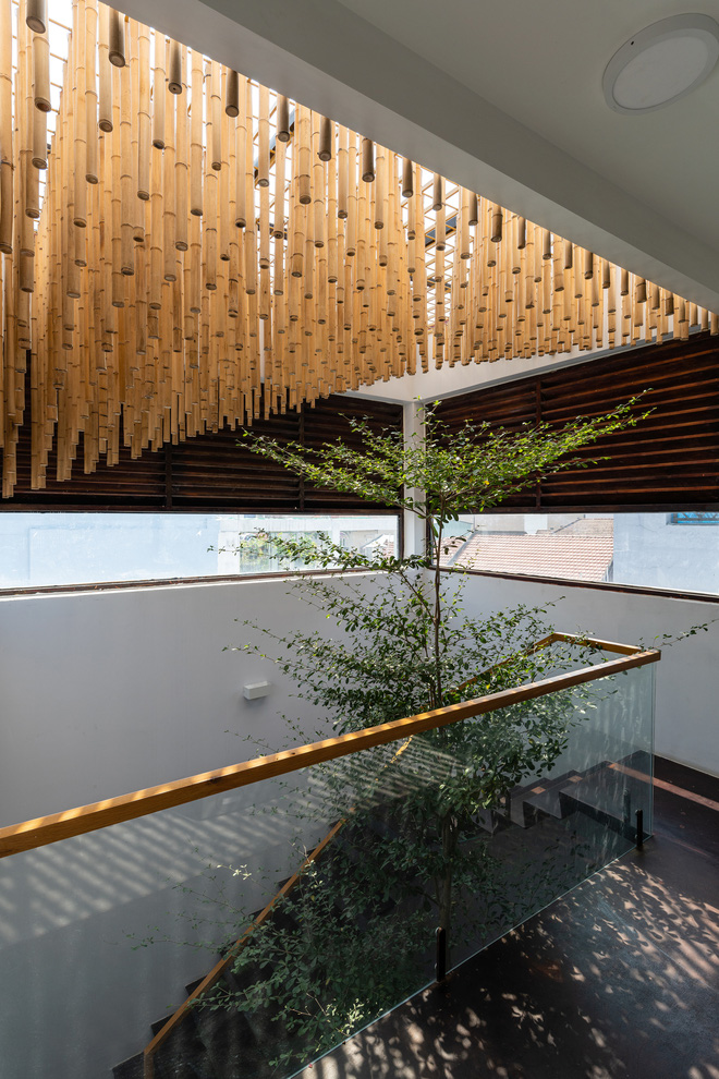 Nhà tổ chim với thiết kế phá vỡ mọi quy tắc: Không có tường ngăn, nhìn đâu cũng thấy cây xanh với khoảnh trống - Ảnh 8. Nhà tổ chim với thiết kế phá vỡ mọi quy tắc: Không có tường ngăn, nhìn đâu cũng thấy cây xanh với khoảnh trống - Ảnh 8.