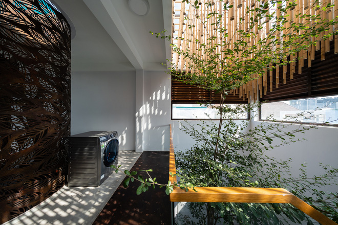 Nhà tổ chim với thiết kế phá vỡ mọi quy tắc: Không có tường ngăn, nhìn đâu cũng thấy cây xanh với khoảnh trống - Ảnh 9. Nhà tổ chim với thiết kế phá vỡ mọi quy tắc: Không có tường ngăn, nhìn đâu cũng thấy cây xanh với khoảnh trống - Ảnh 9.