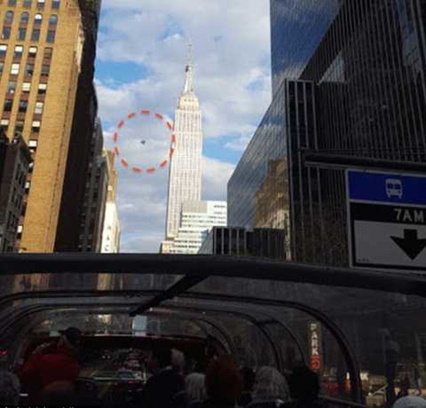 5 b&iacute; ẩn lớn nhất thế giới năm 2020 nhắc lại l&agrave; thấy r&ugrave;ng m&igrave;nh, chứng minh đ&acirc;y quả l&agrave; năm c&oacute; qu&aacute; nhiều điều kỳ lạ xảy ra - Ảnh 5.