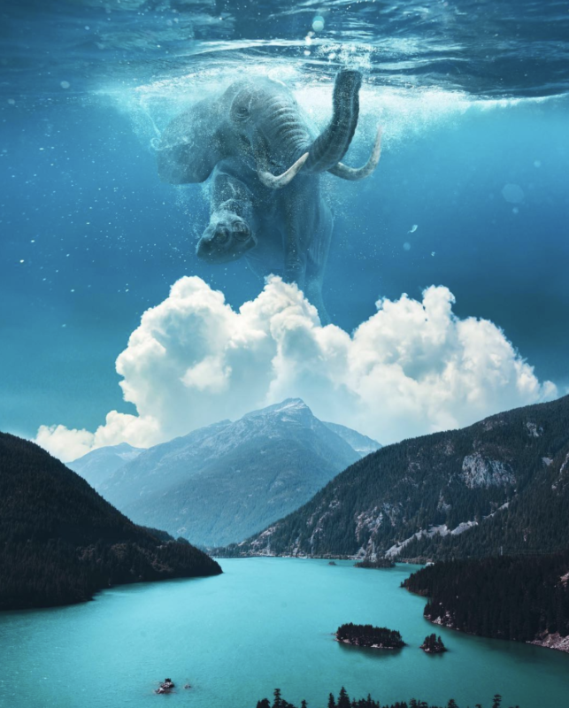 Câu chuyện của nhiếp ảnh gia phía sau bức ảnh ảo diệu được chọn làm màn hình chờ của Photoshop 2021 - Ảnh 7. Câu chuyện của nhiếp ảnh gia phía sau bức ảnh ảo diệu được chọn làm màn hình chờ của Photoshop 2021 - Ảnh 7.