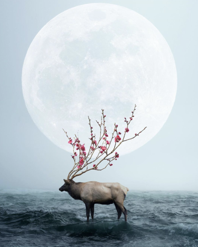 Câu chuyện của nhiếp ảnh gia phía sau bức ảnh ảo diệu được chọn làm màn hình chờ của Photoshop 2021 - Ảnh 11. Câu chuyện của nhiếp ảnh gia phía sau bức ảnh ảo diệu được chọn làm màn hình chờ của Photoshop 2021 - Ảnh 11.