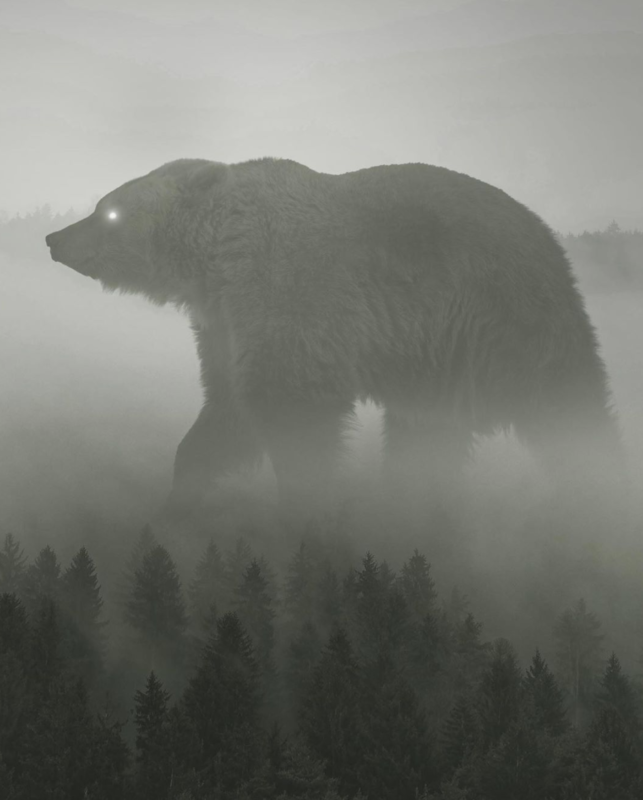 Câu chuyện của nhiếp ảnh gia phía sau bức ảnh ảo diệu được chọn làm màn hình chờ của Photoshop 2021 - Ảnh 13. Câu chuyện của nhiếp ảnh gia phía sau bức ảnh ảo diệu được chọn làm màn hình chờ của Photoshop 2021 - Ảnh 13.