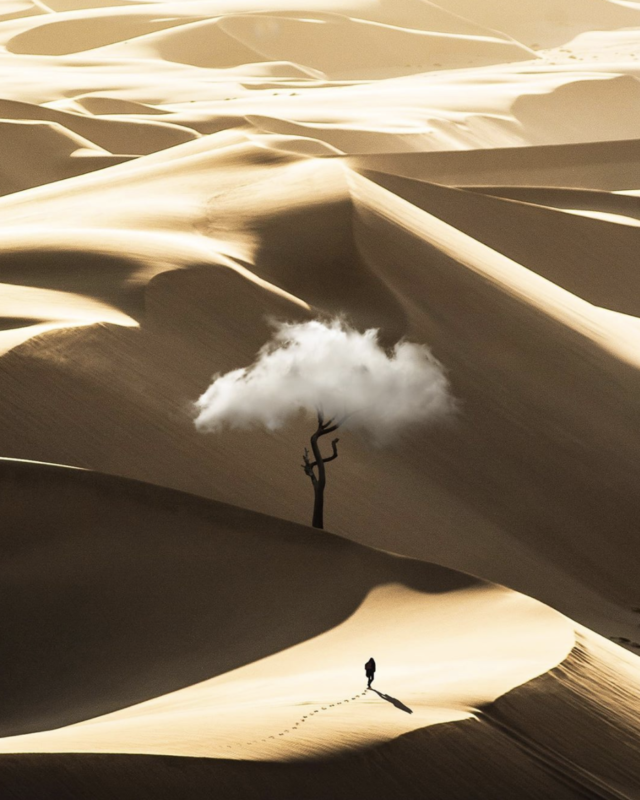 Câu chuyện của nhiếp ảnh gia phía sau bức ảnh ảo diệu được chọn làm màn hình chờ của Photoshop 2021 - Ảnh 14. Câu chuyện của nhiếp ảnh gia phía sau bức ảnh ảo diệu được chọn làm màn hình chờ của Photoshop 2021 - Ảnh 14.