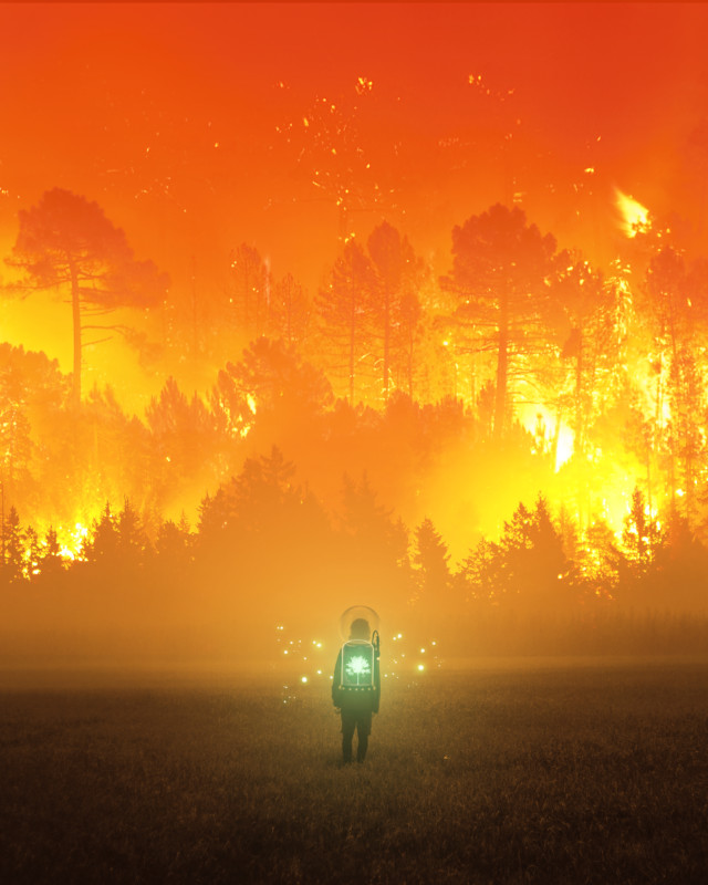 Câu chuyện của nhiếp ảnh gia phía sau bức ảnh ảo diệu được chọn làm màn hình chờ của Photoshop 2021 - Ảnh 25. Câu chuyện của nhiếp ảnh gia phía sau bức ảnh ảo diệu được chọn làm màn hình chờ của Photoshop 2021 - Ảnh 25.