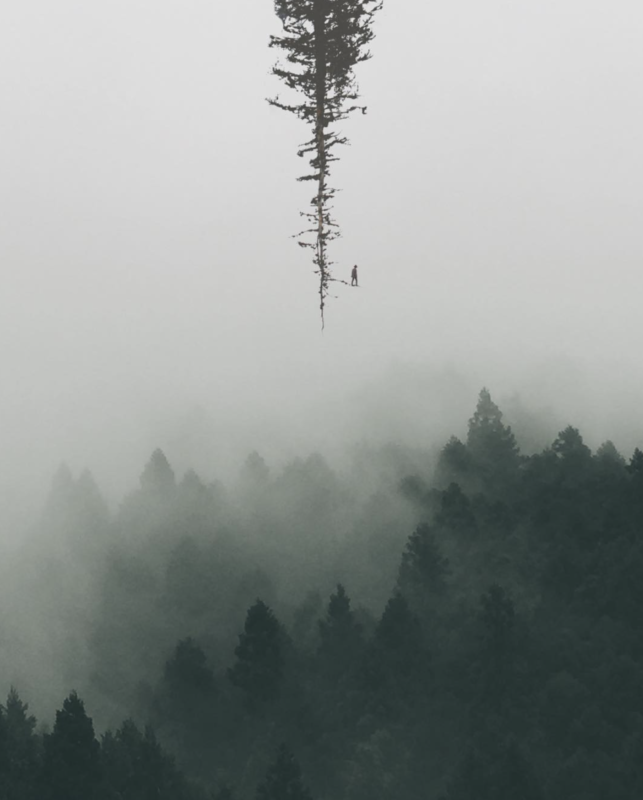 Câu chuyện của nhiếp ảnh gia phía sau bức ảnh ảo diệu được chọn làm màn hình chờ của Photoshop 2021 - Ảnh 6. Câu chuyện của nhiếp ảnh gia phía sau bức ảnh ảo diệu được chọn làm màn hình chờ của Photoshop 2021 - Ảnh 6.