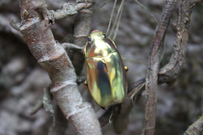 Những bức h&igrave;nh thi&ecirc;n nhi&ecirc;n th&uacute; vị v&agrave; hiếm c&oacute; tới nỗi xem xong c&ograve;n chẳng hiểu l&agrave; thật hay Photoshop - Ảnh 12.