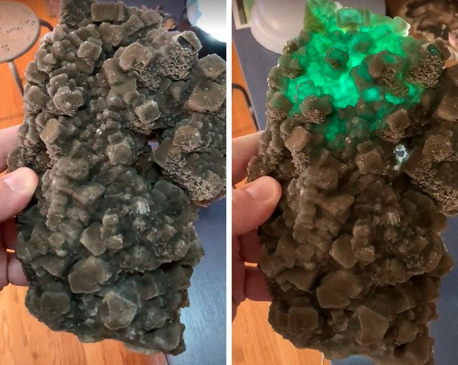 Những bức h&igrave;nh thi&ecirc;n nhi&ecirc;n th&uacute; vị v&agrave; hiếm c&oacute; tới nỗi xem xong c&ograve;n chẳng hiểu l&agrave; thật hay Photoshop - Ảnh 15.