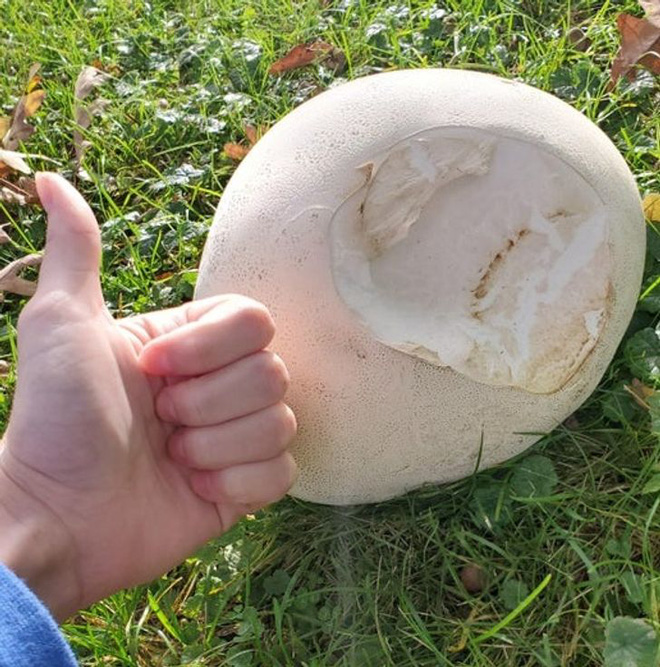 Những bức h&igrave;nh thi&ecirc;n nhi&ecirc;n th&uacute; vị v&agrave; hiếm c&oacute; tới nỗi xem xong c&ograve;n chẳng hiểu l&agrave; thật hay Photoshop - Ảnh 16.