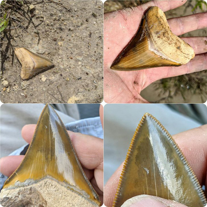 Những bức h&igrave;nh thi&ecirc;n nhi&ecirc;n th&uacute; vị v&agrave; hiếm c&oacute; tới nỗi xem xong c&ograve;n chẳng hiểu l&agrave; thật hay Photoshop - Ảnh 17.