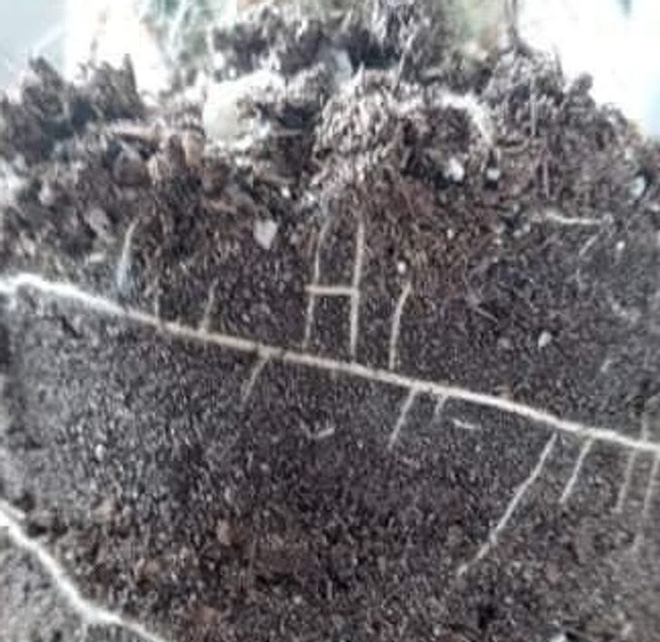 Những bức h&igrave;nh thi&ecirc;n nhi&ecirc;n th&uacute; vị v&agrave; hiếm c&oacute; tới nỗi xem xong c&ograve;n chẳng hiểu l&agrave; thật hay Photoshop - Ảnh 5.