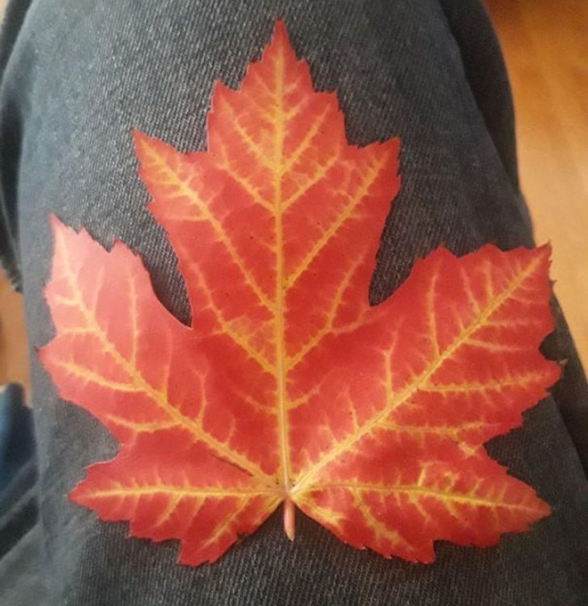 Những bức h&igrave;nh thi&ecirc;n nhi&ecirc;n th&uacute; vị v&agrave; hiếm c&oacute; tới nỗi xem xong c&ograve;n chẳng hiểu l&agrave; thật hay Photoshop - Ảnh 6.