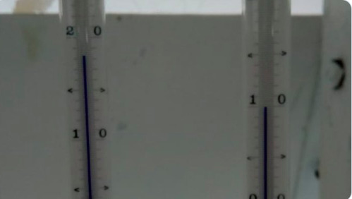 Nhiệt độ Ch&acirc;u Nam Cực ở mức cao kỷ lục, băng tan ở khắp nơi - Ảnh 2.