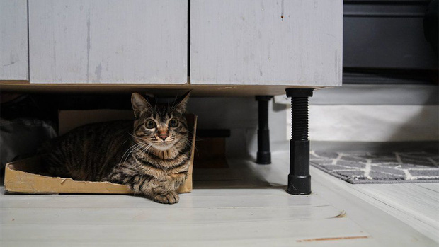 Nhà bán ngầm ở Seoul: Nơi người trẻ khom lưng mà sống, ‘mùi của cái nghèo’ rõ nhất vào hè nhưng họ vẫn từ chối biến thành ‘ký sinh trùng’ - Ảnh 8. Nhà bán ngầm ở Seoul: Nơi người trẻ khom lưng mà sống, ‘mùi của cái nghèo’ rõ nhất vào hè nhưng họ vẫn từ chối biến thành ‘ký sinh trùng’ - Ảnh 8.