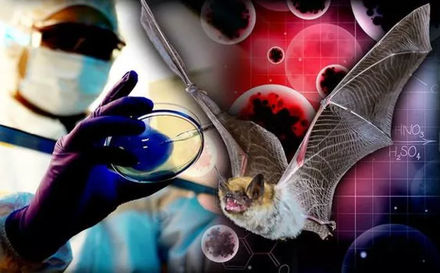 Ph&ograve;ng th&iacute; nghiệm Vũ H&aacute;n phủ nhận tin đồn bệnh nh&acirc;n số 0, tiết lộ chi tiết lạ về ca nhiễm bệnh đầu ti&ecirc;n - Ảnh 1.