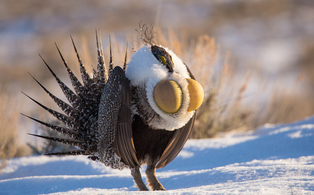 Loạt ảnh thế giới tự nhiên với nhiều điều kỳ thú khiến chúng ta phải đi từ bất ngờ này đến bất ngờ khác, và đôi khi thêm cả chút hãi hùng - Ảnh 13. Loạt ảnh thế giới tự nhiên với nhiều điều kỳ thú khiến chúng ta phải đi từ bất ngờ này đến bất ngờ khác, và đôi khi thêm cả chút hãi hùng - Ảnh 13.