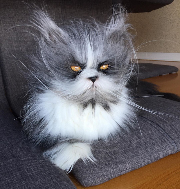 Loạt ảnh thế giới tự nhiên với nhiều điều kỳ thú khiến chúng ta phải đi từ bất ngờ này đến bất ngờ khác, và đôi khi thêm cả chút hãi hùng - Ảnh 17. Loạt ảnh thế giới tự nhiên với nhiều điều kỳ thú khiến chúng ta phải đi từ bất ngờ này đến bất ngờ khác, và đôi khi thêm cả chút hãi hùng - Ảnh 17.