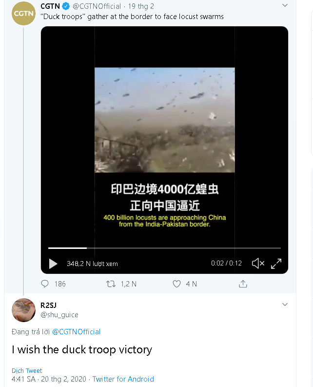 Trung Quốc cử “đội quân” 10 vạn con vịt đến biên giới để tiêu diệt 400 tỷ con châu chấu - Ảnh 3. Trung Quốc cử “đội quân” 10 vạn con vịt đến biên giới để tiêu diệt 400 tỷ con châu chấu - Ảnh 3.