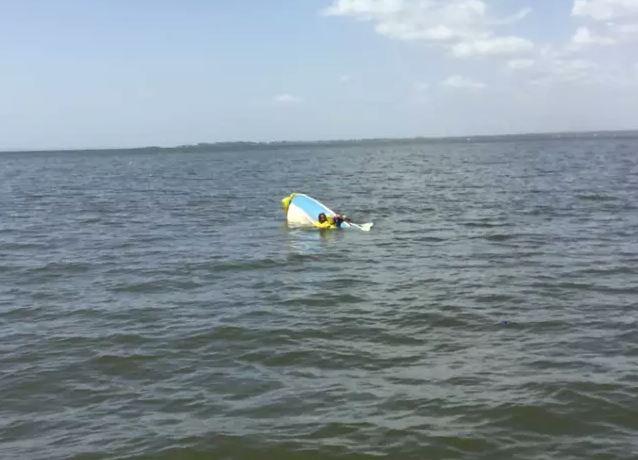 Ch&uacute; ch&oacute; bơi l&ecirc;nh đ&ecirc;nh tr&ecirc;n biển trong suốt 11 giờ để t&igrave;m người cứu gi&uacute;p chủ nh&acirc;n sắp bị đuối nước - Ảnh 2.