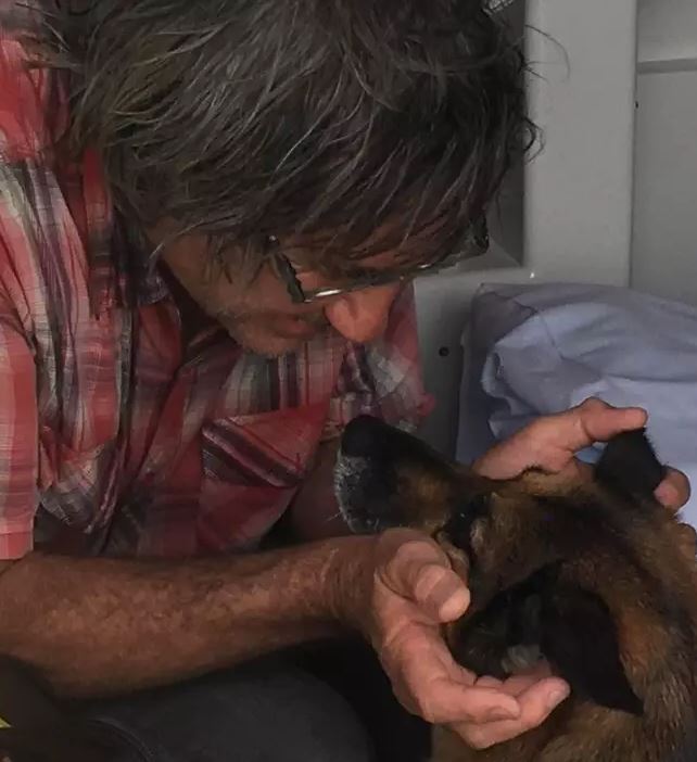 Ch&uacute; ch&oacute; bơi l&ecirc;nh đ&ecirc;nh tr&ecirc;n biển trong suốt 11 giờ để t&igrave;m người cứu gi&uacute;p chủ nh&acirc;n sắp bị đuối nước - Ảnh 4.