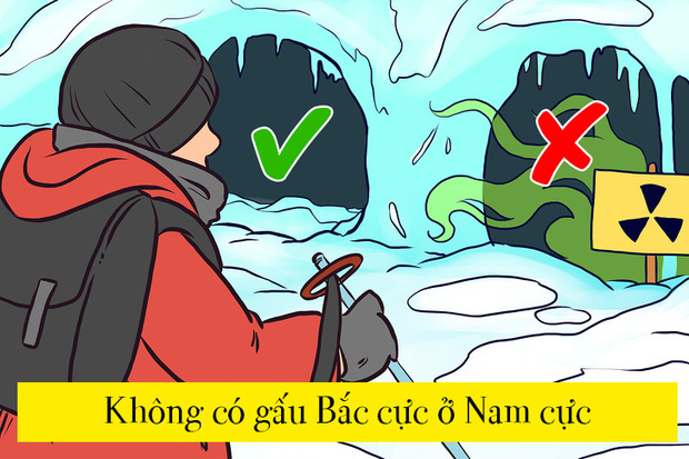 Nếu giải được 3 trong số 10 c&acirc;u đố n&agrave;y l&agrave; bạn đ&atilde; giỏi lắm rồi đấy - Ảnh 14.
