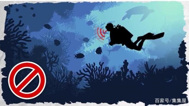 Hu&yacute;t s&aacute;o dưới nước l&agrave; phạm ph&aacute;p, cắn ch&oacute; lại hợp ph&aacute;p v&agrave; loạt quy định kỳ quặc chỉ c&oacute; ở Mỹ - Ảnh 1.