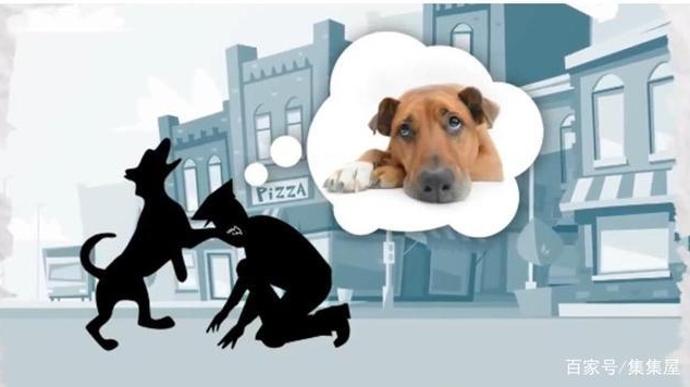 Hu&yacute;t s&aacute;o dưới nước l&agrave; phạm ph&aacute;p, cắn ch&oacute; lại hợp ph&aacute;p v&agrave; loạt quy định kỳ quặc chỉ c&oacute; ở Mỹ - Ảnh 2.