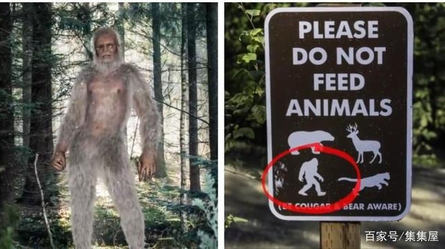 Hu&yacute;t s&aacute;o dưới nước l&agrave; phạm ph&aacute;p, cắn ch&oacute; lại hợp ph&aacute;p v&agrave; loạt quy định kỳ quặc chỉ c&oacute; ở Mỹ - Ảnh 5.