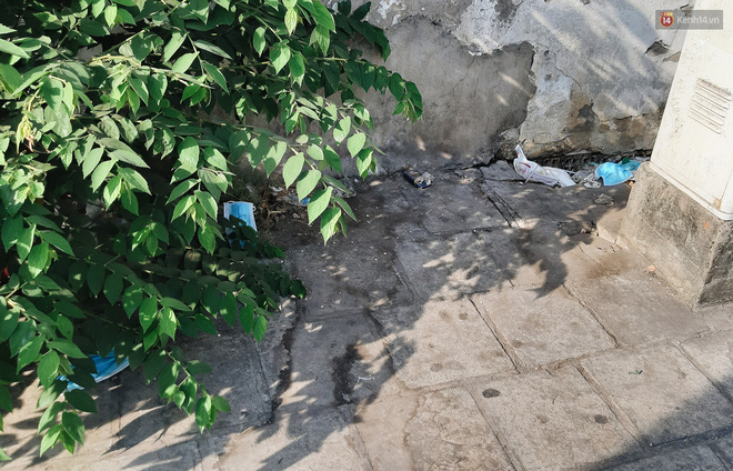 Khi người d&acirc;n chen nhau mua bằng được khẩu trang để bảo vệ ch&iacute;nh m&igrave;nh nhưng lại vứt tr&agrave;n lan ra ngo&agrave;i m&ocirc;i trường - Ảnh 4.