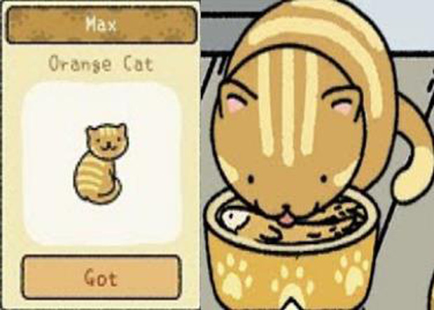 Để trở th&agrave;nh chủ sở th&uacute; trong Adorable Home, đ&acirc;y l&agrave; những điều m&agrave; người chơi nhất định phải khắc cốt ghi t&acirc;m - Ảnh 12.