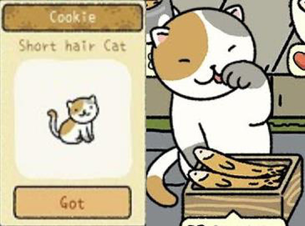 Để trở th&agrave;nh chủ sở th&uacute; trong Adorable Home, đ&acirc;y l&agrave; những điều m&agrave; người chơi nhất định phải khắc cốt ghi t&acirc;m - Ảnh 13.