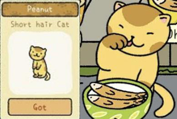 Để trở th&agrave;nh chủ sở th&uacute; trong Adorable Home, đ&acirc;y l&agrave; những điều m&agrave; người chơi nhất định phải khắc cốt ghi t&acirc;m - Ảnh 4.