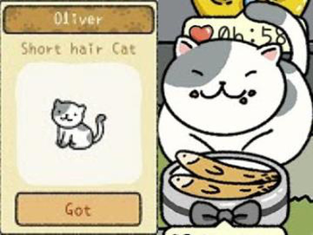 Để trở th&agrave;nh chủ sở th&uacute; trong Adorable Home, đ&acirc;y l&agrave; những điều m&agrave; người chơi nhất định phải khắc cốt ghi t&acirc;m - Ảnh 5.