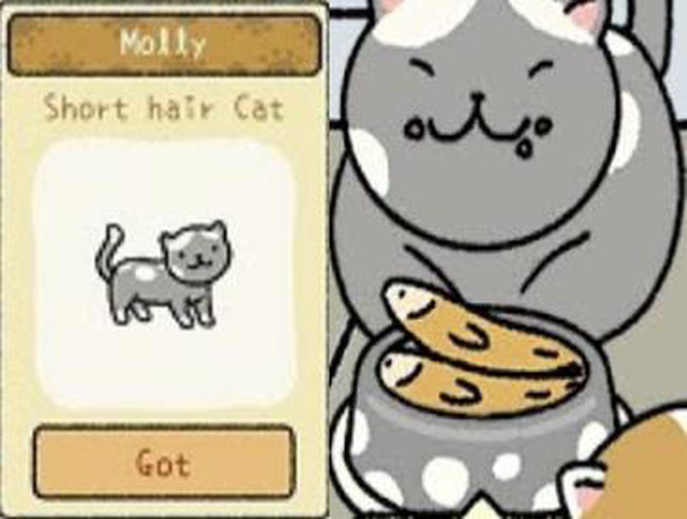 Để trở th&agrave;nh chủ sở th&uacute; trong Adorable Home, đ&acirc;y l&agrave; những điều m&agrave; người chơi nhất định phải khắc cốt ghi t&acirc;m - Ảnh 6.