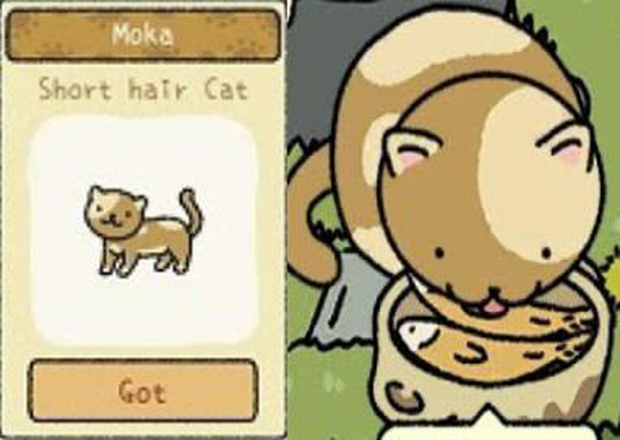 Để trở th&agrave;nh chủ sở th&uacute; trong Adorable Home, đ&acirc;y l&agrave; những điều m&agrave; người chơi nhất định phải khắc cốt ghi t&acirc;m - Ảnh 8.