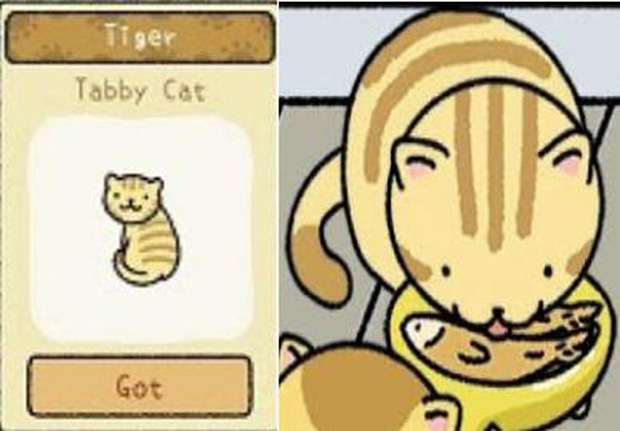 Để trở th&agrave;nh chủ sở th&uacute; trong Adorable Home, đ&acirc;y l&agrave; những điều m&agrave; người chơi nhất định phải khắc cốt ghi t&acirc;m - Ảnh 9.