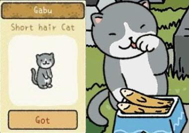 Để trở th&agrave;nh chủ sở th&uacute; trong Adorable Home, đ&acirc;y l&agrave; những điều m&agrave; người chơi nhất định phải khắc cốt ghi t&acirc;m - Ảnh 10.