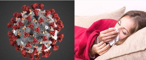 [Infographic] Tỷ lệ xuất hiện c&aacute;c triệu chứng của Covid-19 so với cảm c&uacute;m th&ocirc;ng thường - Ảnh 1.