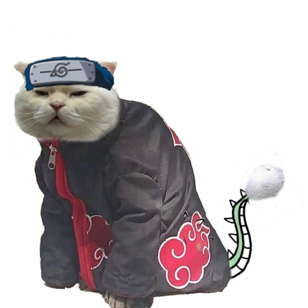 Ai đ&oacute; y&ecirc;u cầu vẽ một con m&egrave;o theo mẫu v&agrave; cư d&acirc;n mạng được dịp chơi tới bến c&ugrave;ng sự s&aacute;ng tạo - Ảnh 12.