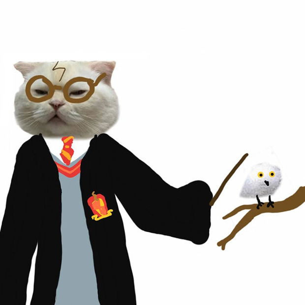 Ai đ&oacute; y&ecirc;u cầu vẽ một con m&egrave;o theo mẫu v&agrave; cư d&acirc;n mạng được dịp chơi tới bến c&ugrave;ng sự s&aacute;ng tạo - Ảnh 14.