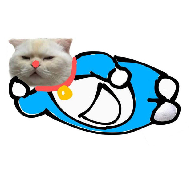 Ai đ&oacute; y&ecirc;u cầu vẽ một con m&egrave;o theo mẫu v&agrave; cư d&acirc;n mạng được dịp chơi tới bến c&ugrave;ng sự s&aacute;ng tạo - Ảnh 15.