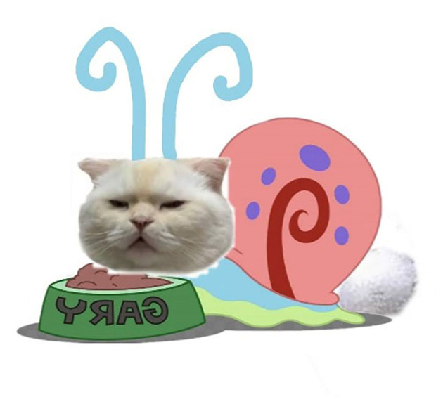 Ai đ&oacute; y&ecirc;u cầu vẽ một con m&egrave;o theo mẫu v&agrave; cư d&acirc;n mạng được dịp chơi tới bến c&ugrave;ng sự s&aacute;ng tạo - Ảnh 18.