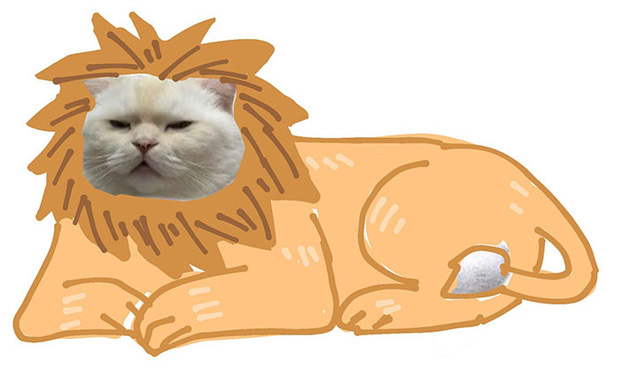 Ai đ&oacute; y&ecirc;u cầu vẽ một con m&egrave;o theo mẫu v&agrave; cư d&acirc;n mạng được dịp chơi tới bến c&ugrave;ng sự s&aacute;ng tạo - Ảnh 19.